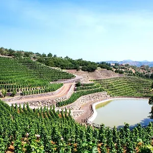 La Gelsomina - Etna Bauernhof